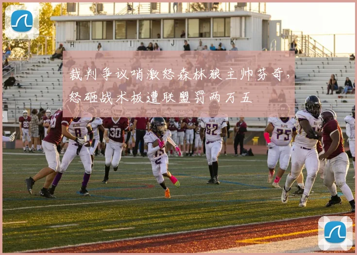 裁判争议哨激怒森林狼主帅芬奇,怒砸战术板遭联盟罚两万五