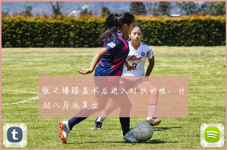 张之臻膝盖术后进入对抗训练,计划八月底复出